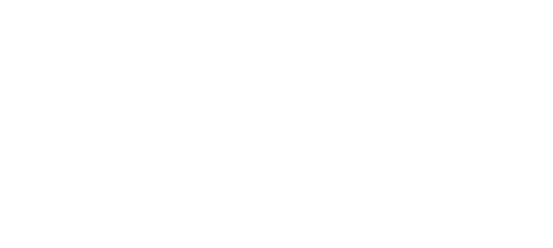 Vector