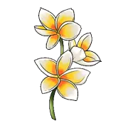 Monoï de Tahití
