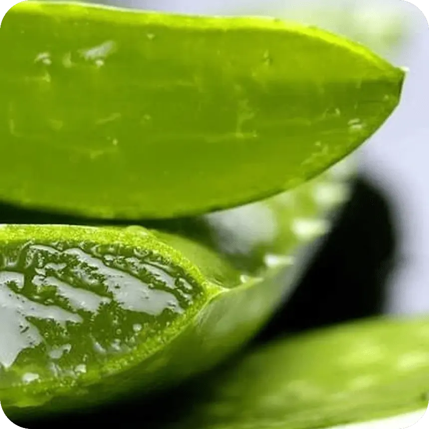 Ingredient