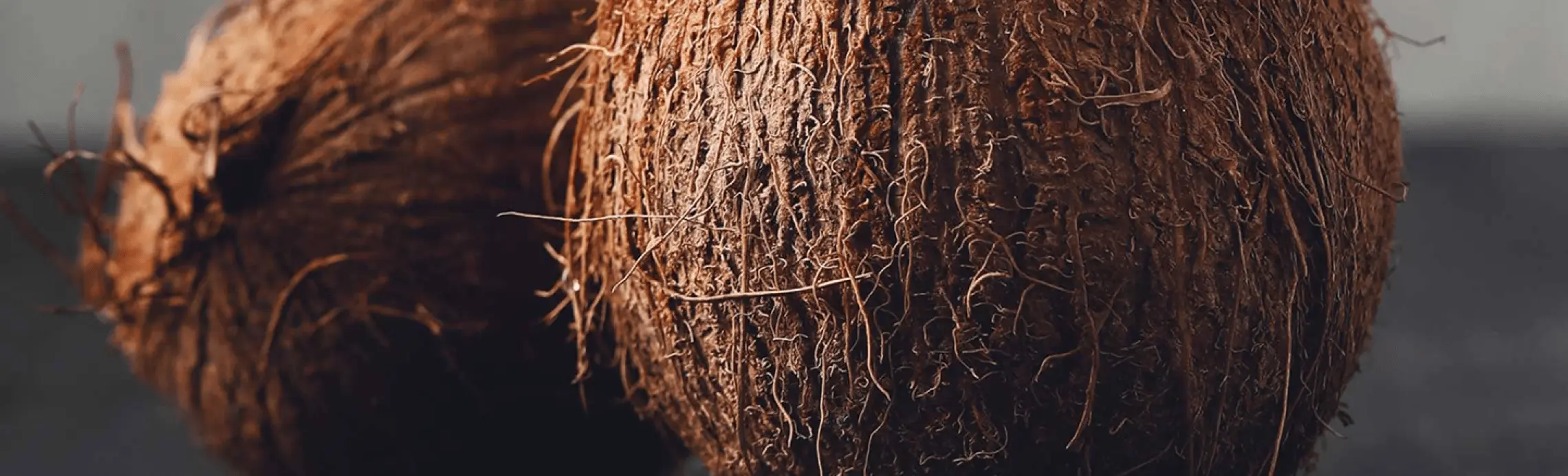 Coco / Aceite de Coco